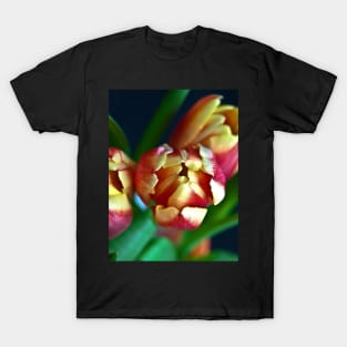 Eternal Sound of Spring T-Shirt